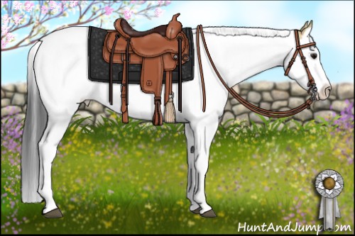 Horse Color:Bay Roan Dun Splash 