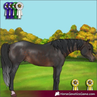 Horse Color:Brown 