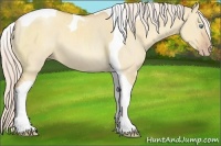 Horse Color:Silver Classic Champagne Dun Tobiano