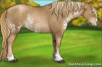 Horse Color:White Spotted Liver Chestnut Pearl Sabino Rabicano