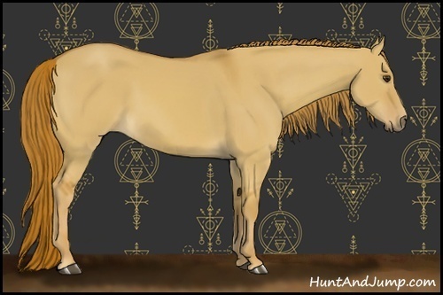 Horse Color:Red Dun 
