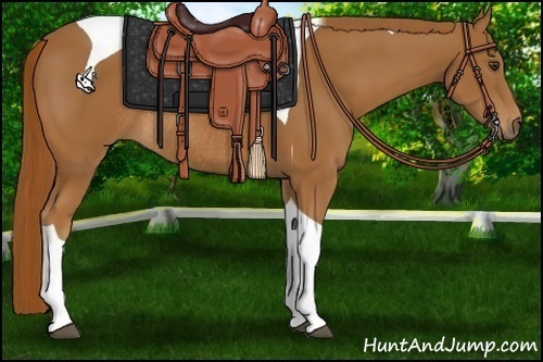 Horse Color:Chestnut Tobiano Rabicano 