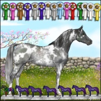 Horse Color:White Spotted Liver Chestnut Rabicano 