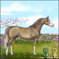 Horse Color:Chocolate Palomino Dun Sabino Splash