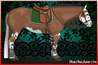 Horse Color:Bay Splash 