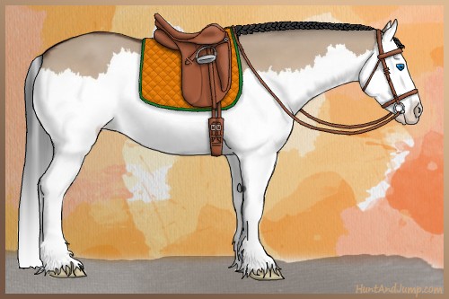 Horse Color:Bay Dun Splash 