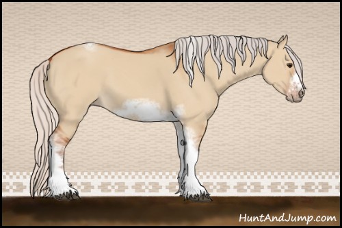 Horse Color:Silver Bay Dun Sabino Tobiano Frame Rabicano 