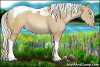 Horse Color:Silver Grullo Pearl Tobiano Rabicano 