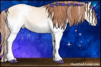 Horse Color:White Spotted Amber Champagne Pearl Dun Sabino Rabicano