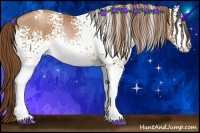 Horse Color:White Spotted Bay Pearl Sabino Rabicano 