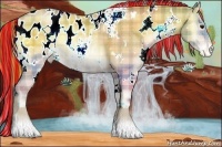Horse Color:Painted Plaid  White Spotted Bay Pearl Onyx Appaloosa 