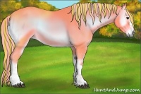 Horse Color:Painted Watercolor Red Onyx 