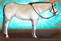 Horse Color:White Spotted Bay Dun