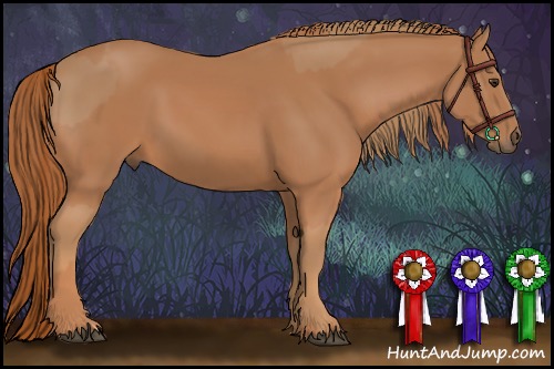 Horse Color:Chestnut  and Chestnut 