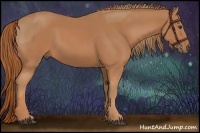 Horse Color:Chestnut  and Chestnut 