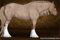 Horse Color:Red Roan 