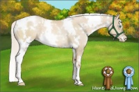 Horse Color:White Spotted Palomino Pearl 