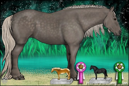Horse Color:Silver Black 