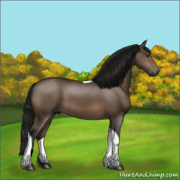 Horse Color:Gray Bay Tobiano Rabicano 