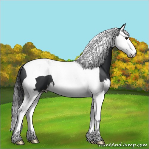 Horse Color:Black Splash Tobiano 