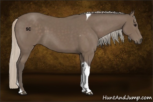 Horse Color:Silver Black Sabino Tobiano