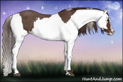 Horse Color:Liver Chestnut Sabino Splash Varnish  and Liver Chestnut Sabino Splash Varnish 