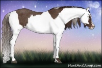 Horse Color:Liver Chestnut Sabino Splash Varnish  and Liver Chestnut Sabino Splash Varnish 