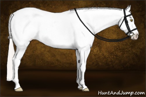 Horse Color:Silver Sable Champagne Sabino Rabicano