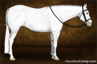 Horse Color:Silver Sable Champagne Sabino Rabicano 