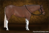 Horse Color:Silver Brown Roan Tobiano Rabicano 