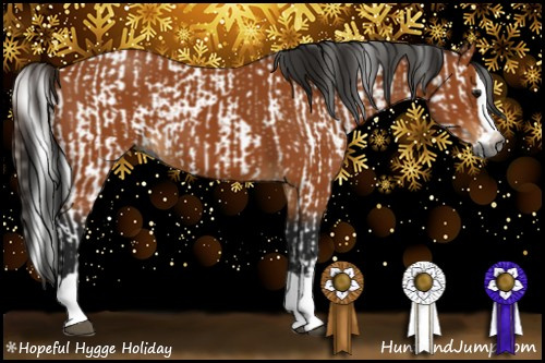 Horse Color:Gray Bay  and Gray Bay Splash 