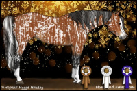 Horse Color:Gray Bay  and Gray Bay Splash 