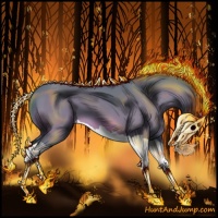 Horse Color:Watercolor Bay Splash