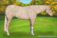Horse Color:Palomino Ice Roan 