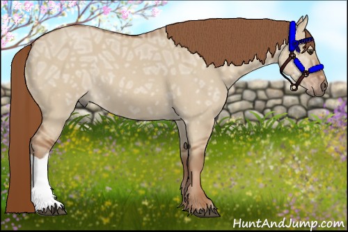 Horse Color:Red Dun Ice 