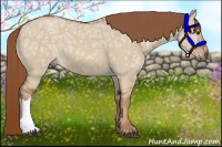 Horse Color:Red Dun Ice 