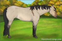 Horse Color:Bay Roan Dun Rabicano 
