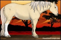 Horse Color:Palomino Dun