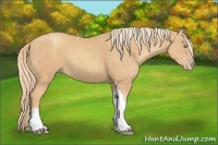 Horse Color:Gold Champagne Tobiano and Gold Champagne Tobiano
