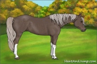 Horse Color:Silver Black 