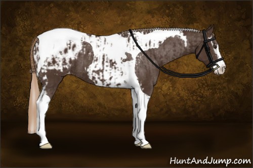 Horse Color:Liver Chestnut Sabino Splash Tobiano Blanket and Liver Chestnut Sabino Tobiano Blanket