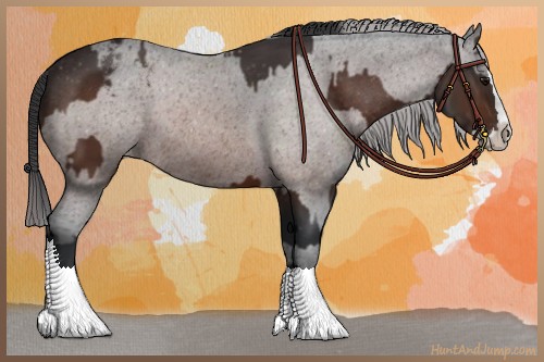 Horse Color:Brown Sabino Splash Varnish and Brown Sabino Splash Varnish Rabicano