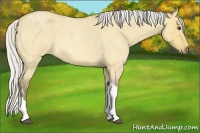Horse Color:Silver Buckskin Roan Dun Tobiano  and Silver Buckskin Roan Dun Tobiano 