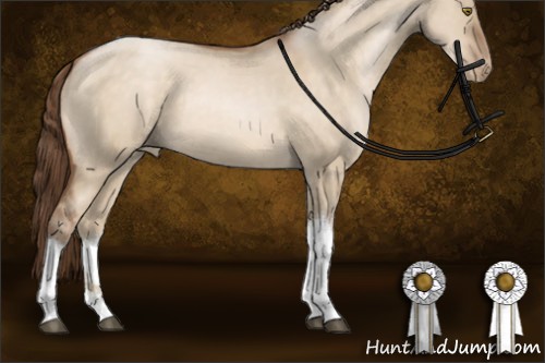 Horse Color:Brown Pearl Dun Tobiano Rabicano 