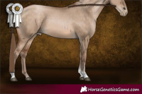 Horse Color:Brown Pearl Dun Tobiano Rabicano 