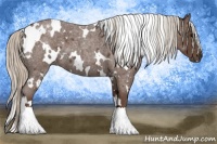 Horse Color:White Spotted Silver Blue Roan 