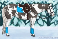 Horse Color:White Spotted Silver Black Splash