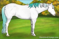 Horse Color:Watercolor Buckskin Sabino 
