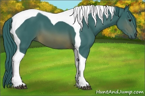 Horse Color:Watercolor Brown Tobiano 