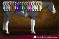 Horse Color:Black Sabino Splash Tobiano 